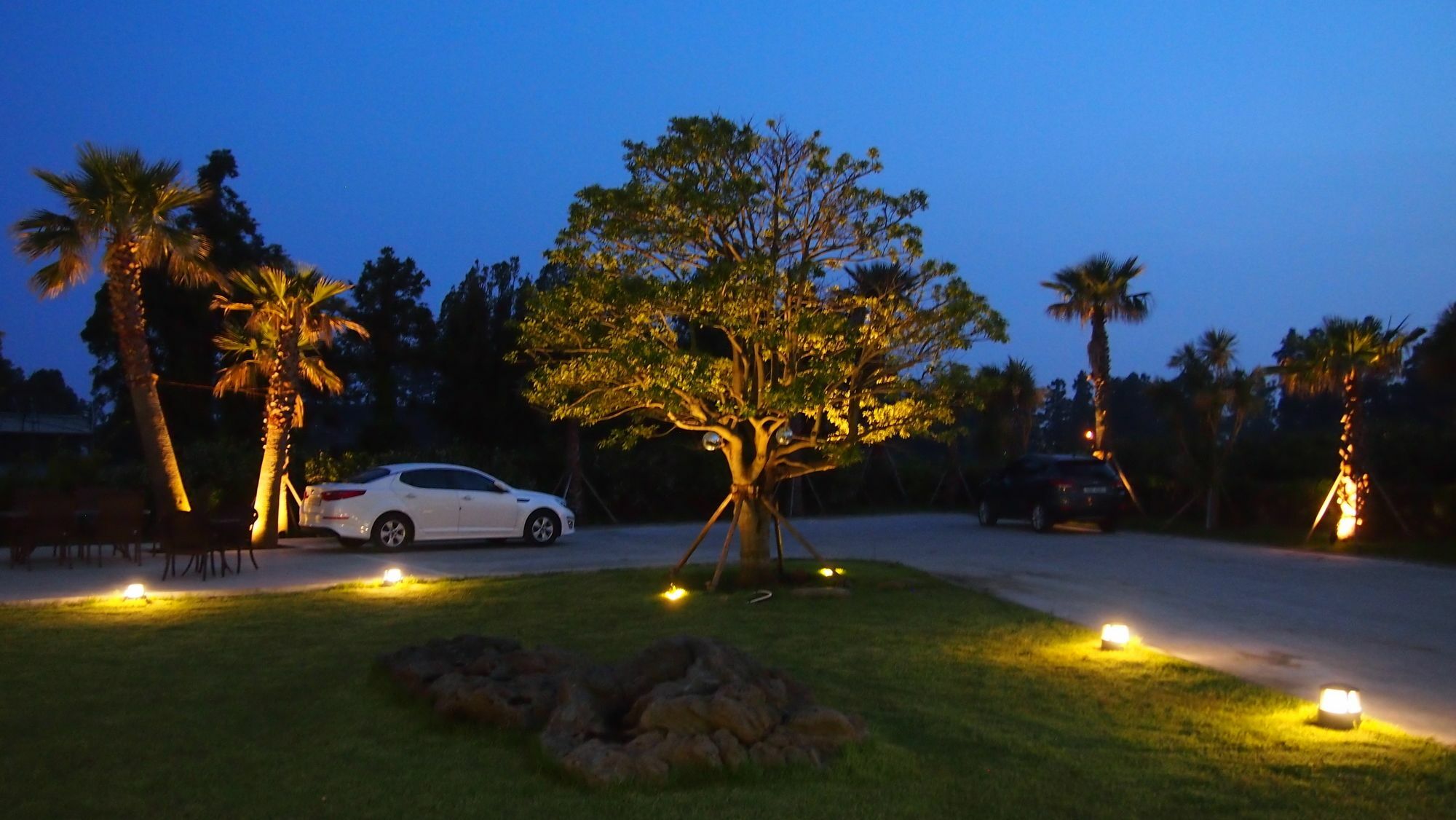 Eridu Cafe N Beds Hotel Seogwipo Luaran gambar